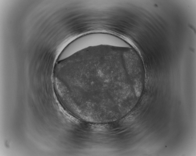 X0000099570951200806131253