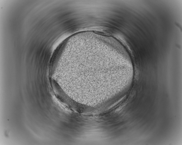 X0000099570952200806131253