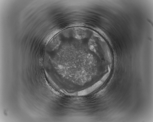 X0000099570953200806131253