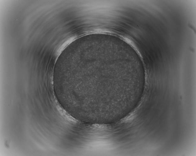 X0000099570954200806131253