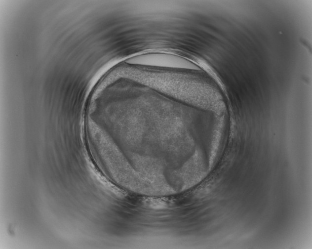 X0000099570955200806131253