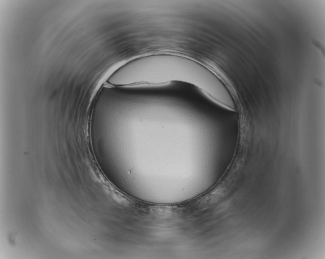 X0000099570956200806131253