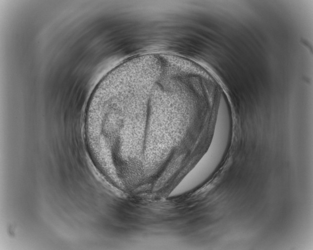 X0000099570957200806131253