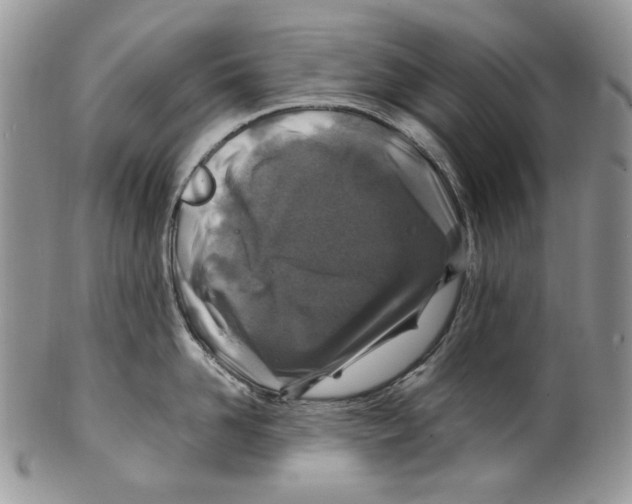 X0000099570958200806131253