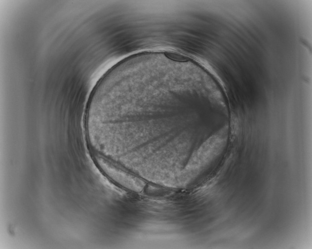 X0000099570959200806131253