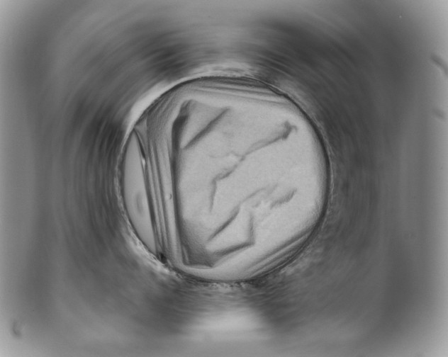 X0000099570960200806131253