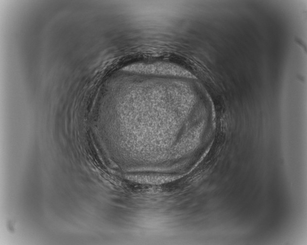 X0000099570961200806131253
