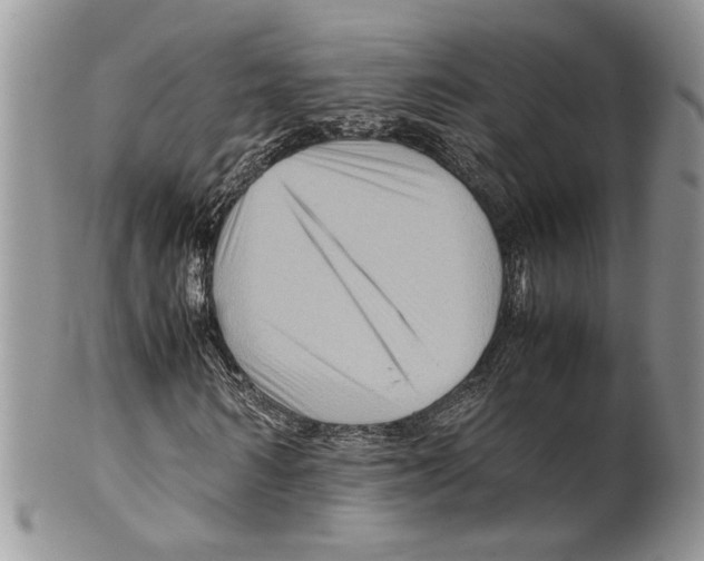 X0000099570962200806131253