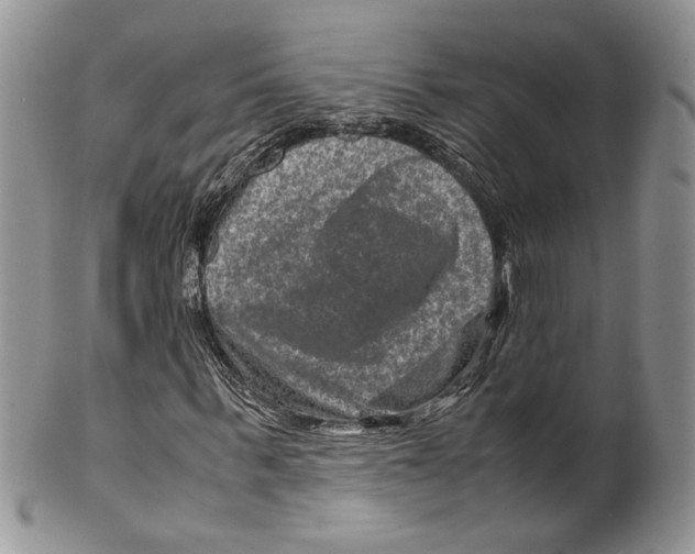 X0000099570963200806131253