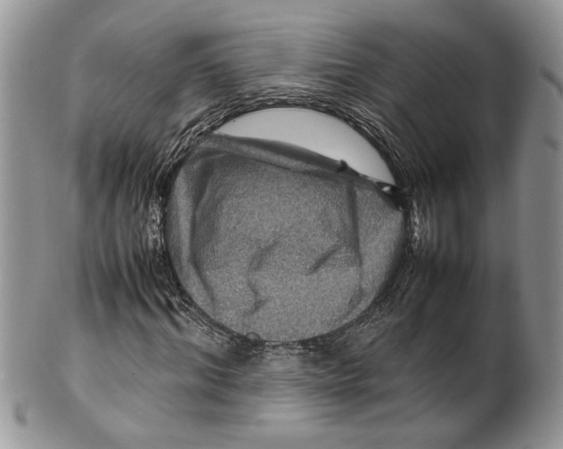 X0000099570964200806131253