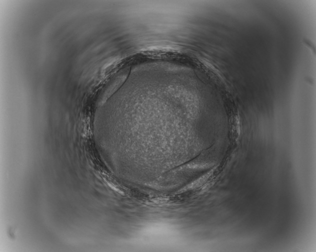 X0000099570965200806131253