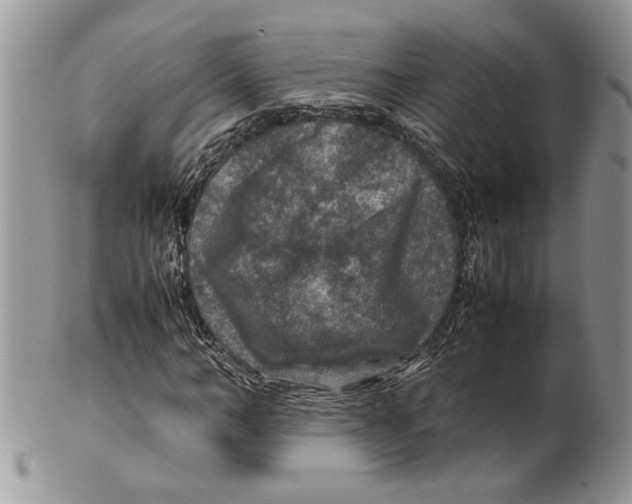 X0000099570966200806131253