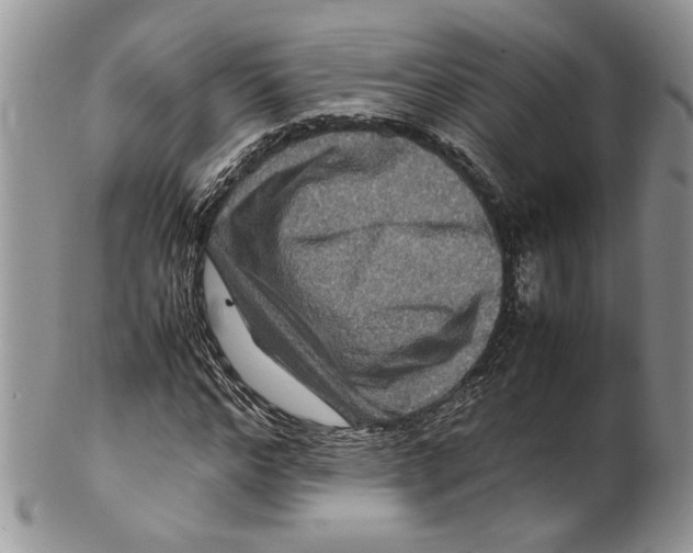 X0000099570968200806131253
