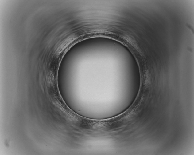 X0000099570969200806131253