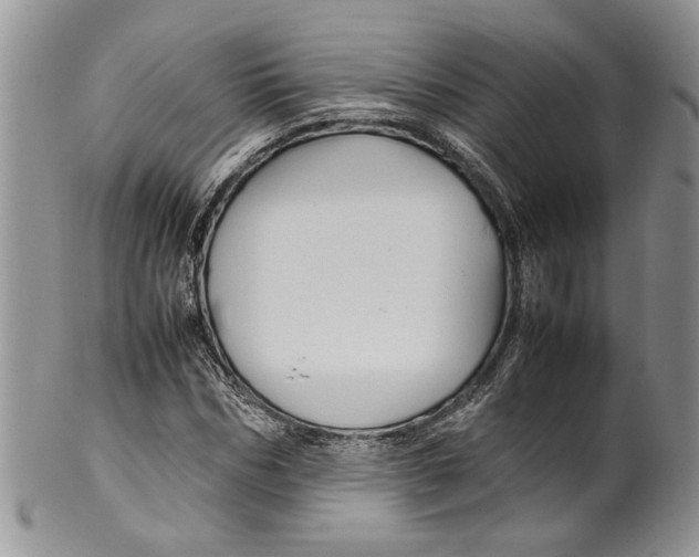X0000099570970200806131253