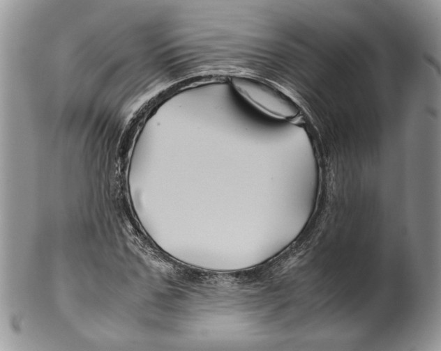 X0000099570971200806131253