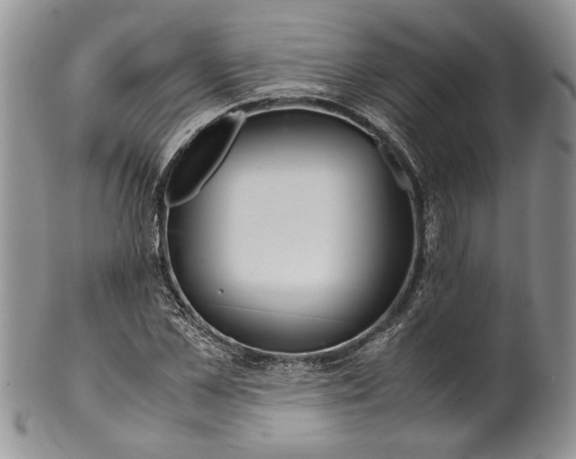 X0000099570973200806131253