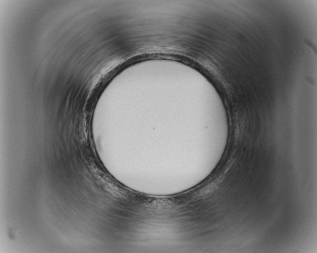 X0000099570974200806131253