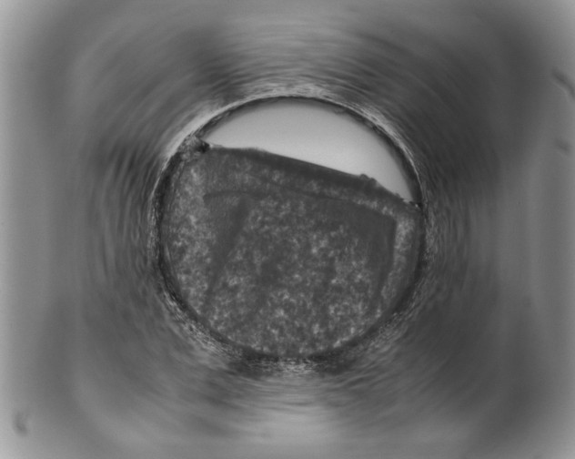 X0000099570975200806131253