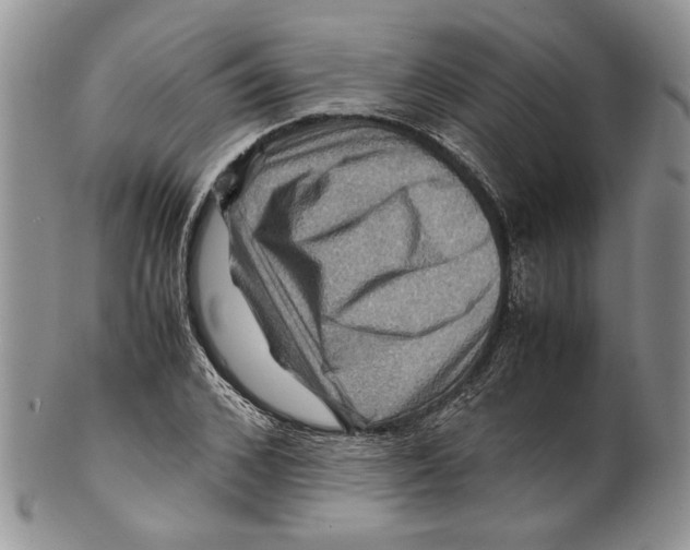 X0000099570976200806131253