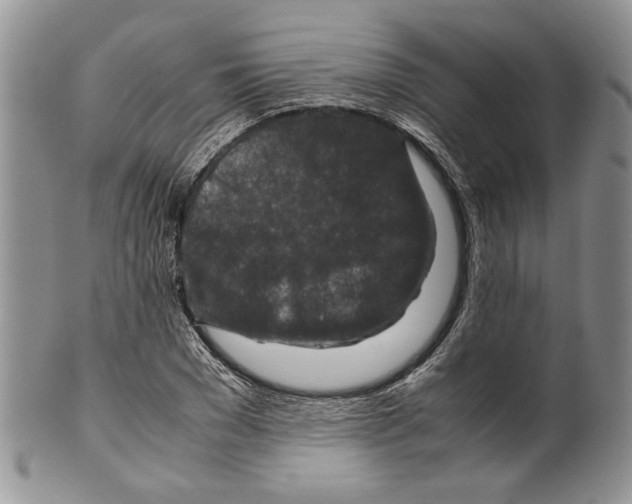 X0000099570977200806131253