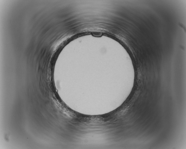X0000099570979200806131253