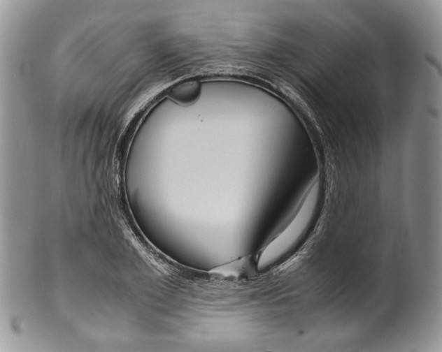 X0000099570981200806131252