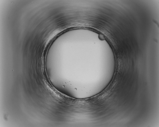 X0000099570982200806131252