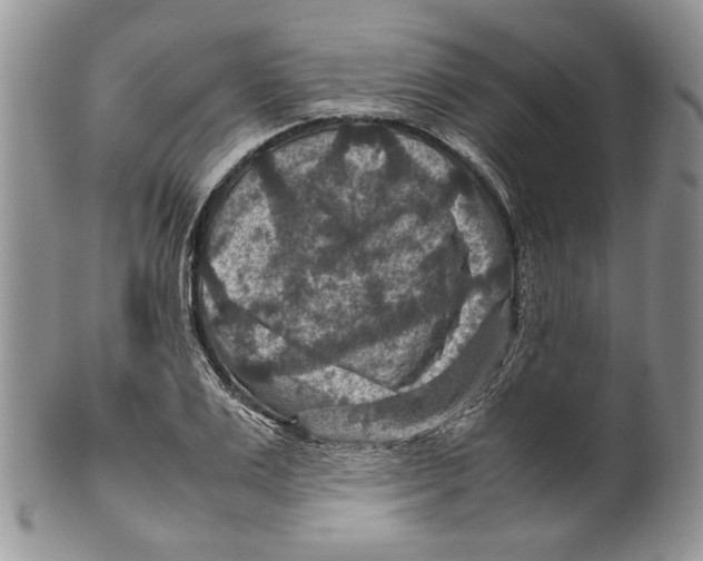 X0000099570983200806131252
