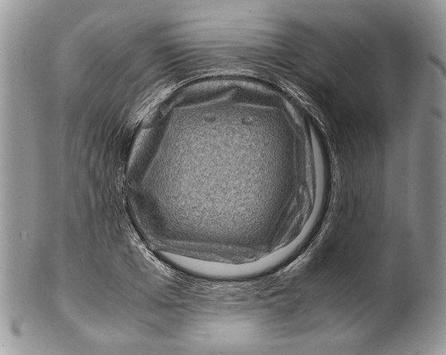 X0000099570985200806131252