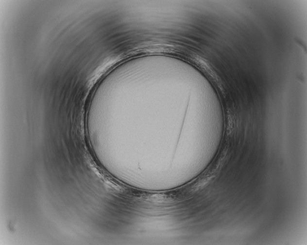 X0000099570986200806131252
