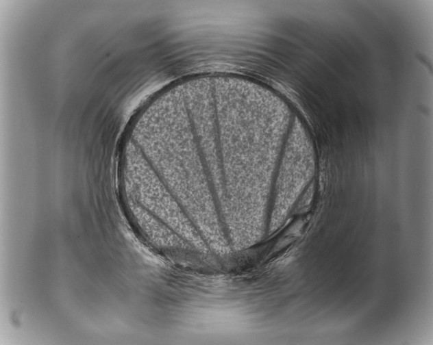 X0000099570987200806131252