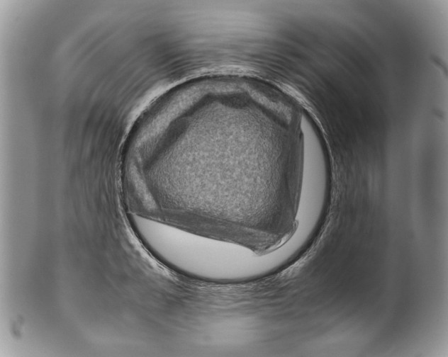 X0000099570989200806131252