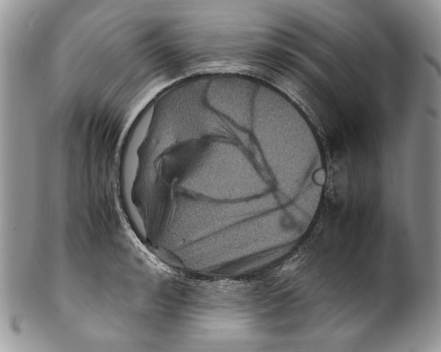 X0000099570992200806131252