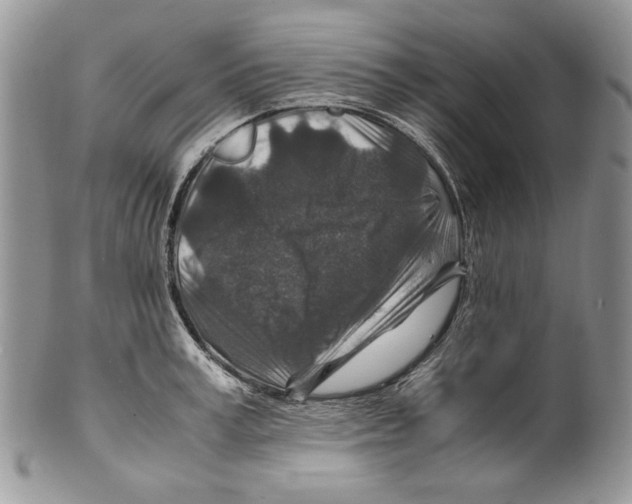 X0000099570995200806131252