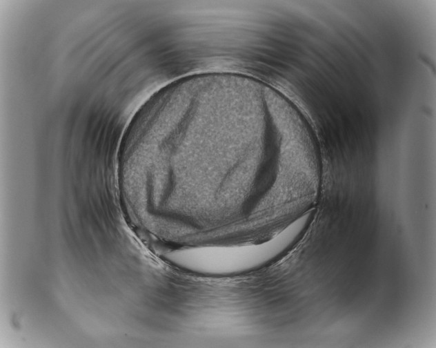 X0000099570996200806131252