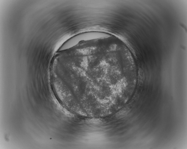 X0000099570998200806131252