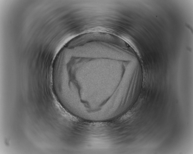 X0000099571000200806131252