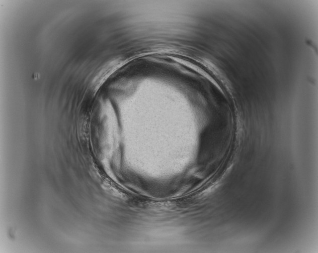 X0000099571001200806131252