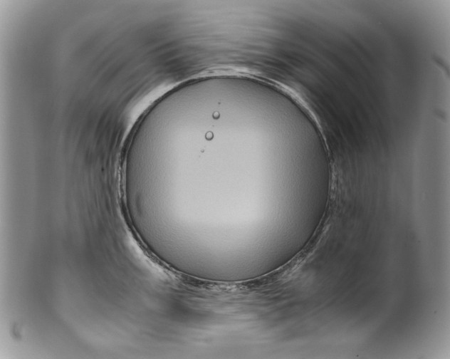 X0000099571003200806131252