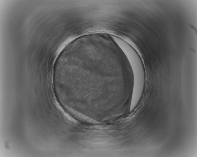 X0000099571005200806131252