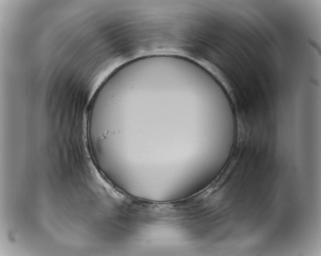 X0000099571006200806131252