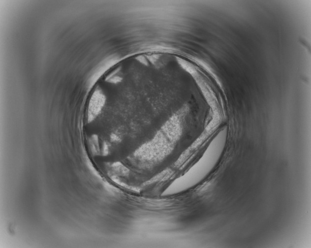 X0000099571007200806131252