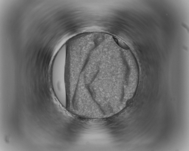 X0000099571008200806131252