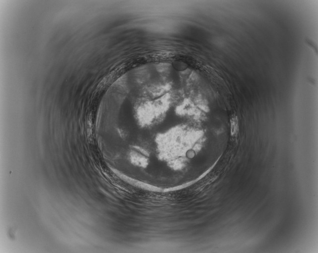 X0000099571011200806131251