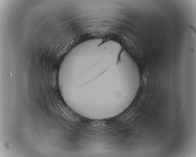 X0000099571012200806131251