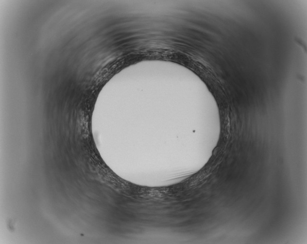 X0000099571013200806131251