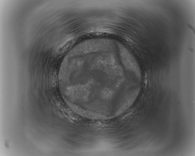 X0000099571014200806131252