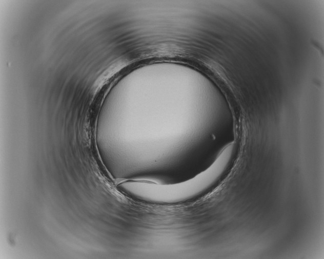 X0000099571018200806131252