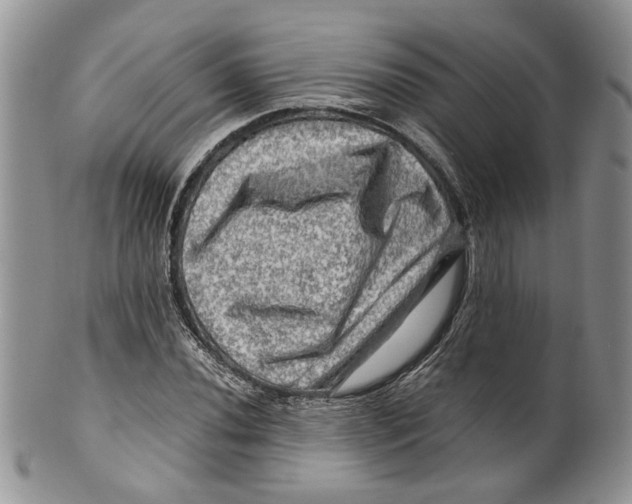 X0000099571020200806131252